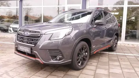 Annonce SUBARU FORESTER Hybride 2024 d'occasion 