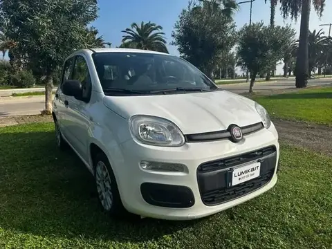 Annonce FIAT PANDA Hybride 2020 d'occasion 