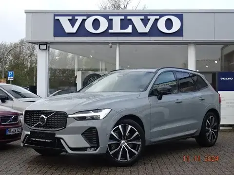 Annonce VOLVO XC60 Diesel 2023 d'occasion 