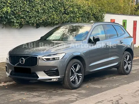 Annonce VOLVO XC60 Diesel 2019 d'occasion 