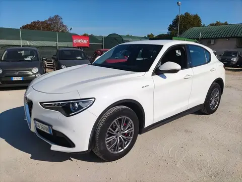 Annonce ALFA ROMEO STELVIO Diesel 2020 d'occasion 