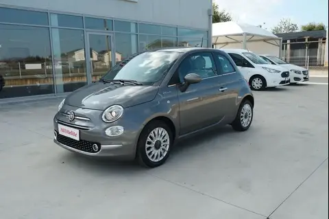 Used FIAT 500 Petrol 2021 Ad 