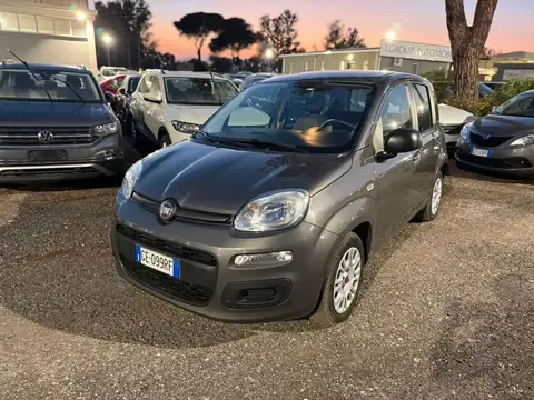 Annonce FIAT PANDA Hybride 2021 d'occasion 