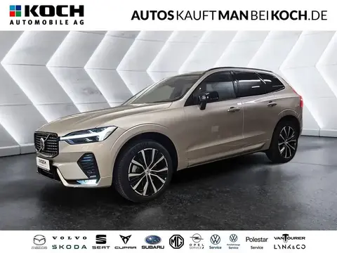 Annonce VOLVO XC60 Diesel 2023 d'occasion 