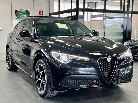 Annonce ALFA ROMEO STELVIO Diesel 2024 d'occasion 