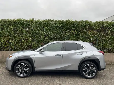 Used LEXUS UX Hybrid 2023 Ad Germany