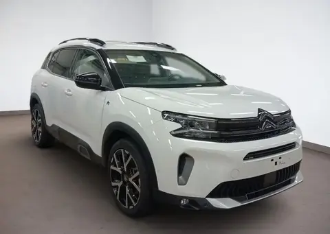 Used CITROEN C5 AIRCROSS Hybrid 2023 Ad 