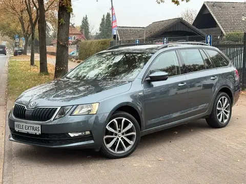 Annonce SKODA OCTAVIA Diesel 2019 d'occasion 