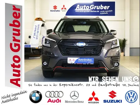 Used SUBARU FORESTER Petrol 2024 Ad 