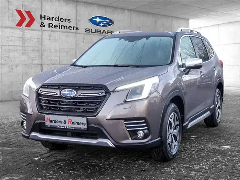 Used SUBARU FORESTER Hybrid 2024 Ad 