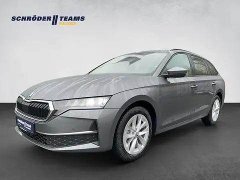 Annonce SKODA OCTAVIA Diesel 2024 d'occasion 