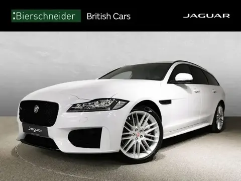 Used JAGUAR XF Petrol 2020 Ad 