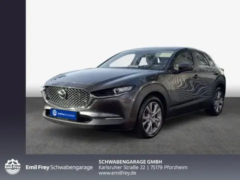 Annonce MAZDA CX-30 Essence 2020 d'occasion 