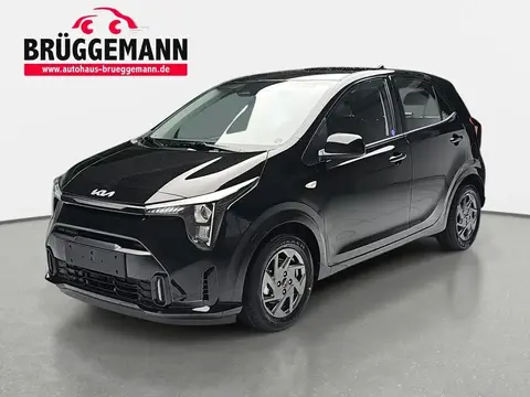 Used KIA PICANTO Petrol 2024 Ad 