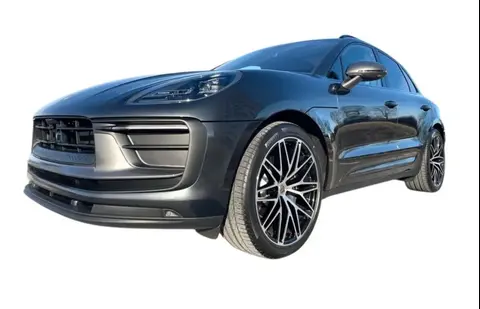 Used PORSCHE MACAN Petrol 2023 Ad 