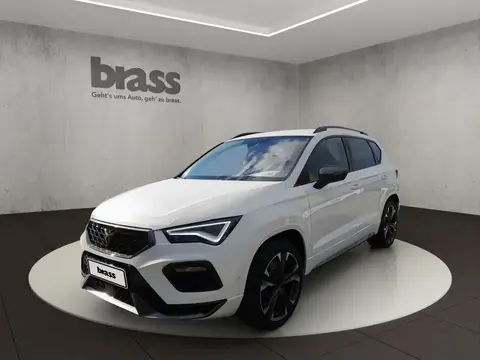 Used CUPRA ATECA Petrol 2023 Ad 