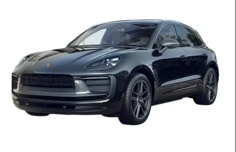 Used PORSCHE MACAN Petrol 2024 Ad 