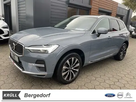 Used VOLVO XC60 Petrol 2023 Ad 