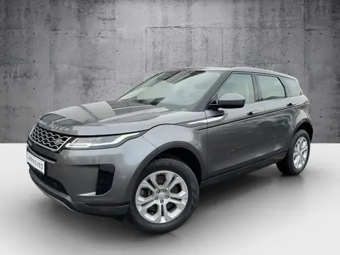 Used LAND ROVER RANGE ROVER EVOQUE Diesel 2019 Ad 