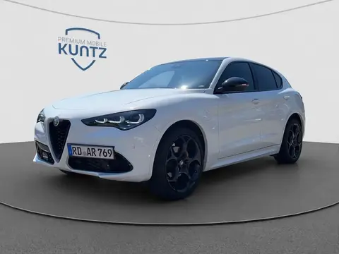 Annonce ALFA ROMEO STELVIO Diesel 2024 d'occasion 