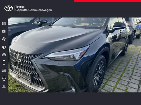 Annonce LEXUS NX Hybride 2024 d'occasion 