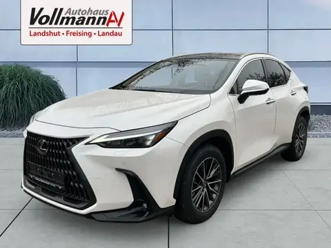 Annonce LEXUS NX Hybride 2024 d'occasion 