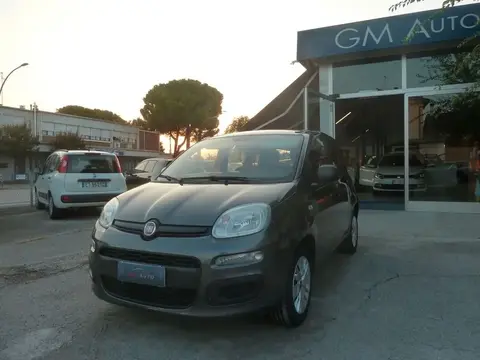 Annonce FIAT PANDA Essence 2017 d'occasion 