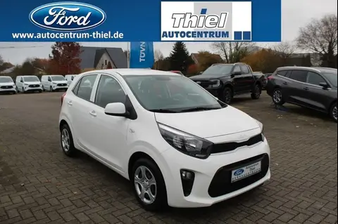 Used KIA PICANTO Petrol 2023 Ad 