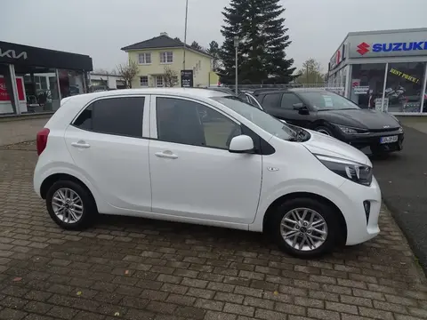 Used KIA PICANTO Petrol 2021 Ad 