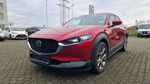 Annonce MAZDA CX-30 Hybride 2019 d'occasion 