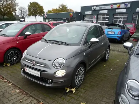 Used FIAT 500 Petrol 2022 Ad 