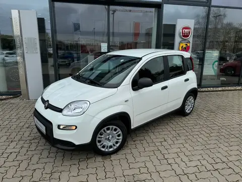 Annonce FIAT PANDA Essence 2024 d'occasion 