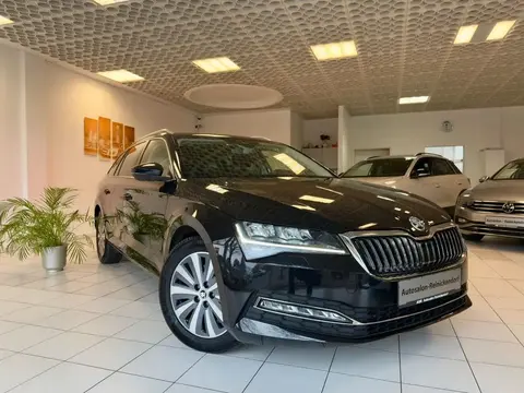 Annonce SKODA SUPERB Diesel 2023 d'occasion 