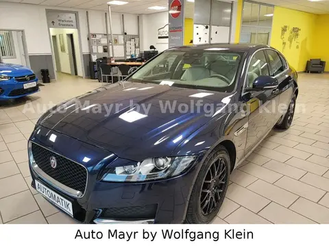 Used JAGUAR XF Diesel 2017 Ad 