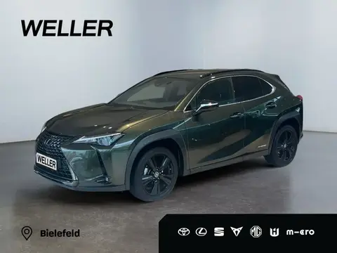 Annonce LEXUS UX Hybride 2021 d'occasion 