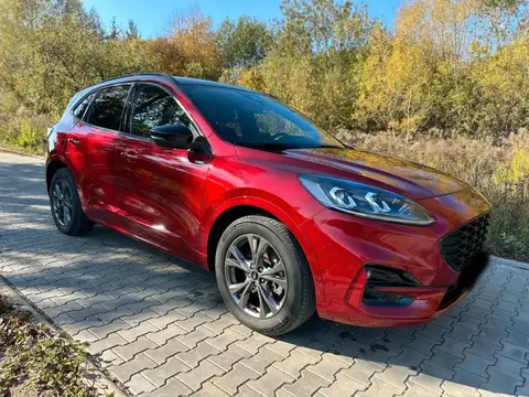 Annonce FORD KUGA Hybride 2021 d'occasion 