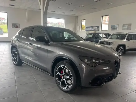 Annonce ALFA ROMEO STELVIO Diesel 2023 d'occasion 