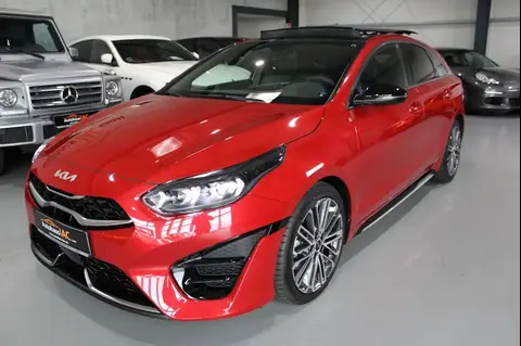 Used KIA PROCEED Petrol 2024 Ad 