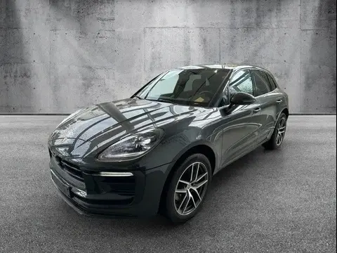 Used PORSCHE MACAN Petrol 2024 Ad 