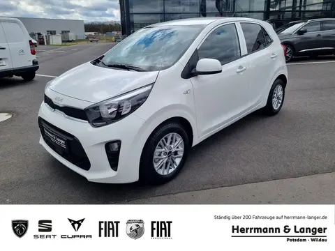 Used KIA PICANTO Petrol 2020 Ad 