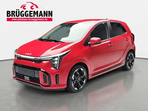 Used KIA PICANTO Petrol 2024 Ad 