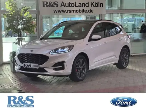 Annonce FORD KUGA Diesel 2022 d'occasion 