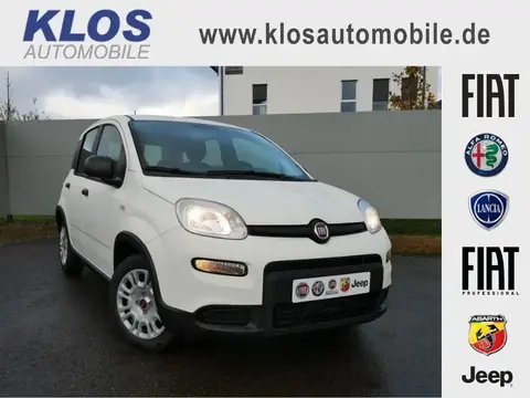 Annonce FIAT PANDA Essence 2024 d'occasion 