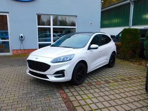 Used FORD KUGA Diesel 2022 Ad 