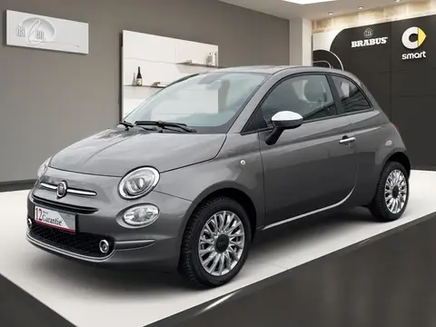 Used FIAT 500 Petrol 2023 Ad 