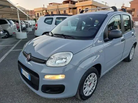 Annonce FIAT PANDA Essence 2019 d'occasion 