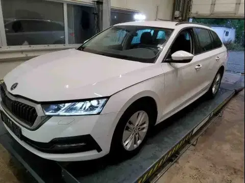 Annonce SKODA OCTAVIA Essence 2021 d'occasion 