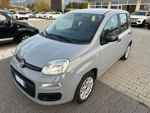 Annonce FIAT PANDA Essence 2019 d'occasion 