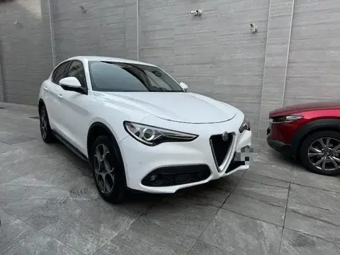 Used ALFA ROMEO STELVIO Diesel 2019 Ad 