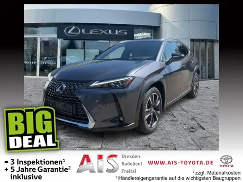 Used LEXUS UX Hybrid 2024 Ad 